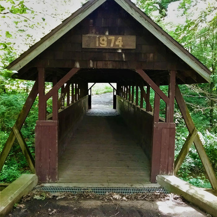 Lemon Lake County Park bridge