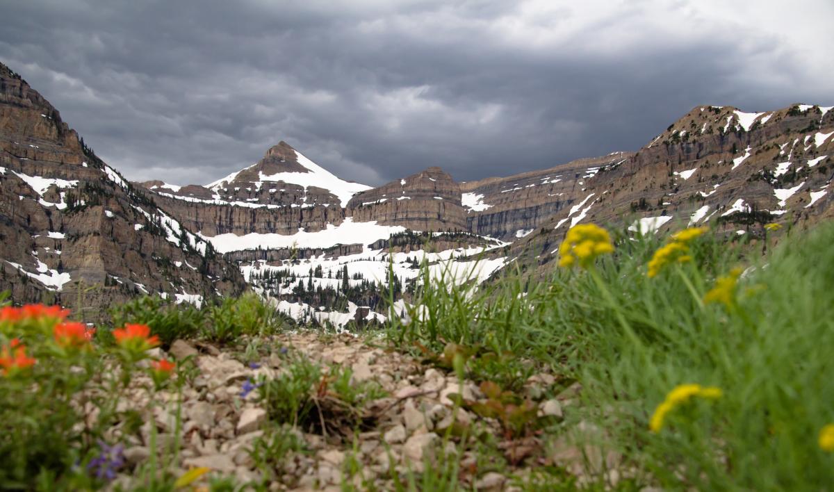 Timpanogos