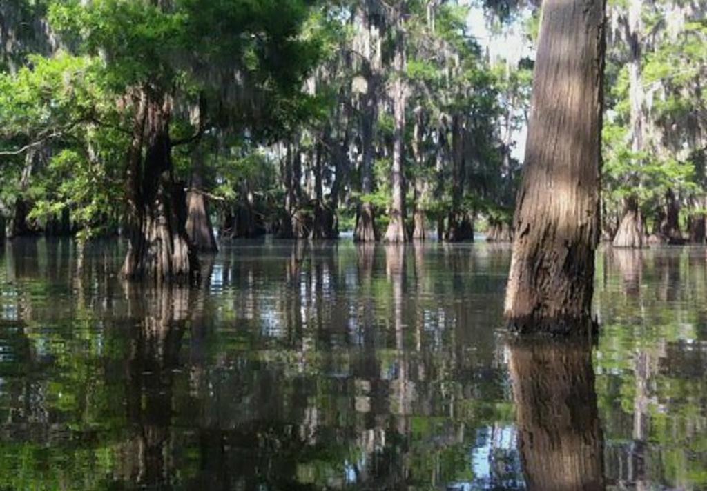 trinity river