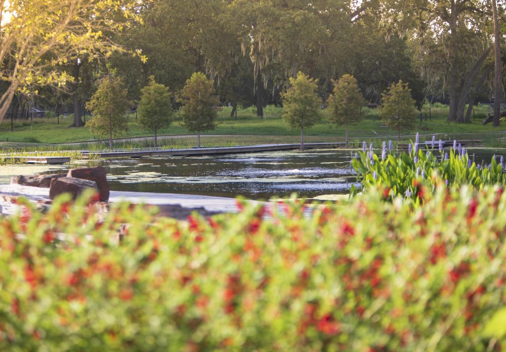 Houston Botanic Garden