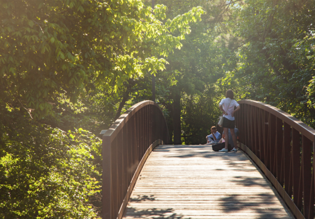 Terry Hershey Park