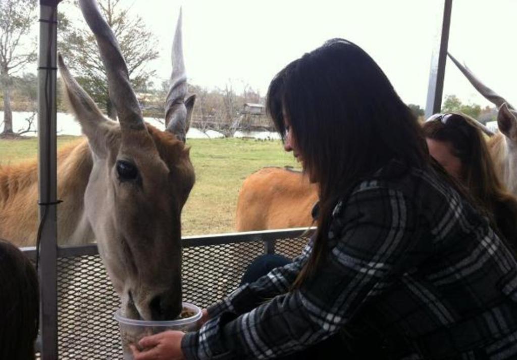 Bayou Wildlife Park