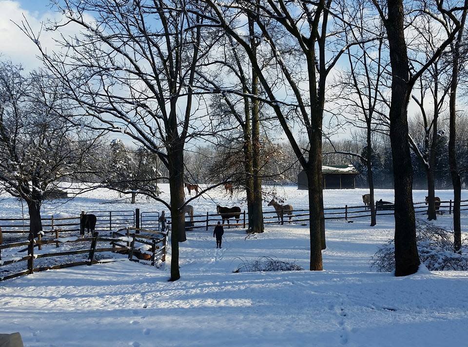 Outdoor Winter Activities Montgomery County Things To Do