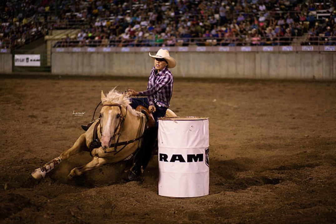 Central Wyoming Fair and Rodeo Casper, WY 82604