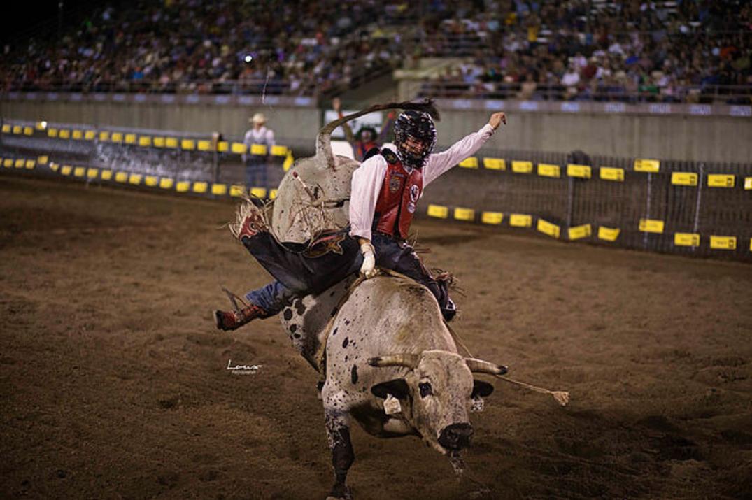 Central Wyoming Fair and Rodeo Casper, WY 82604