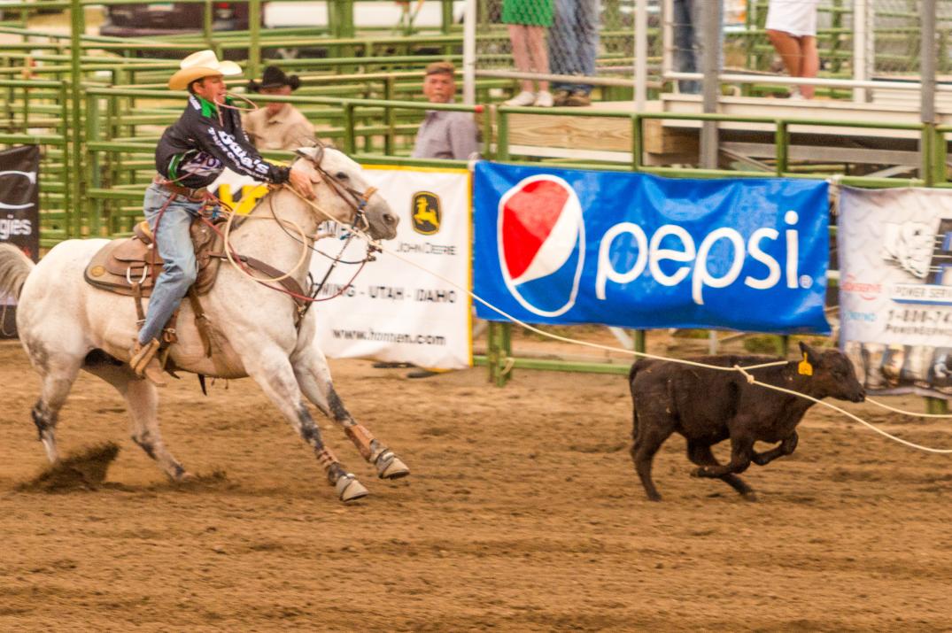 Central Wyoming Fair and Rodeo Casper, WY 82604