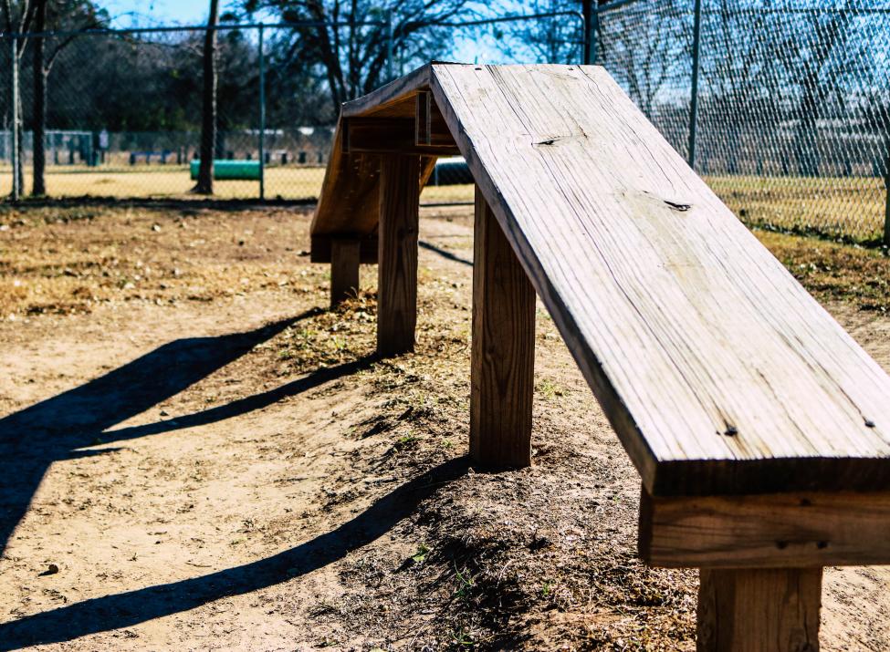 City Bark Park