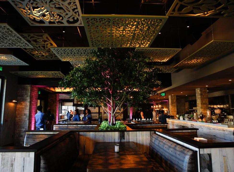 City Perch Kitchen Bar