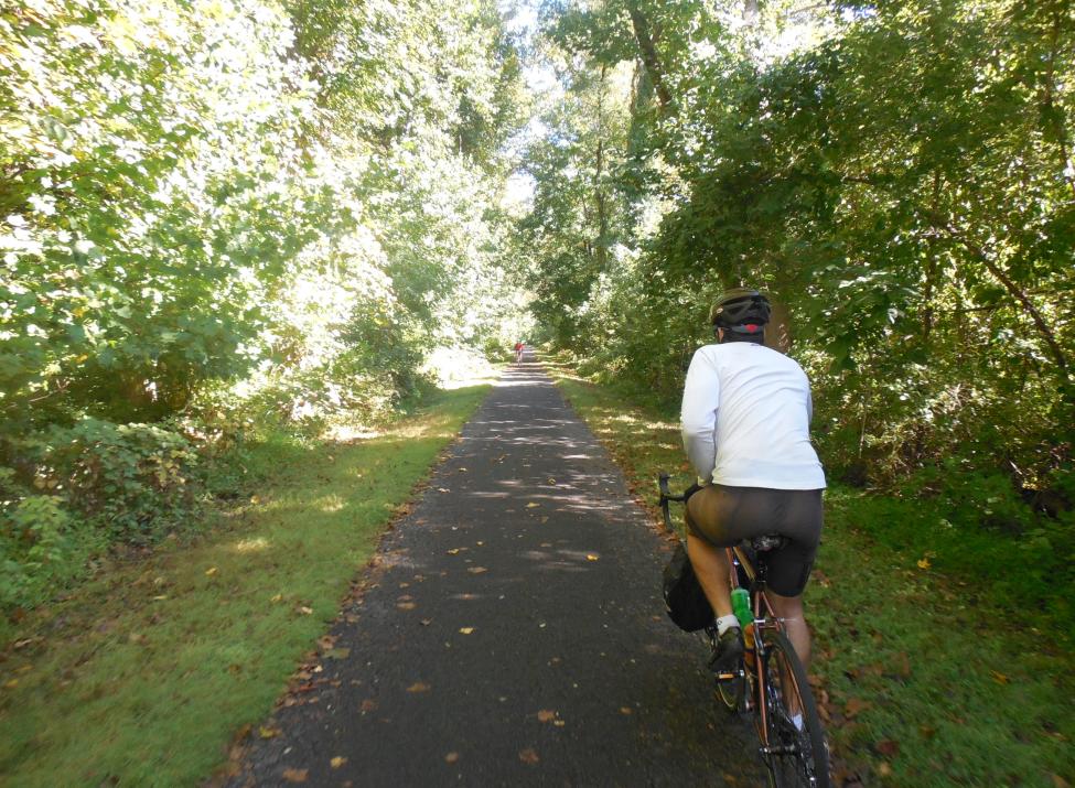 Gotham Bicycle Tours photo 3