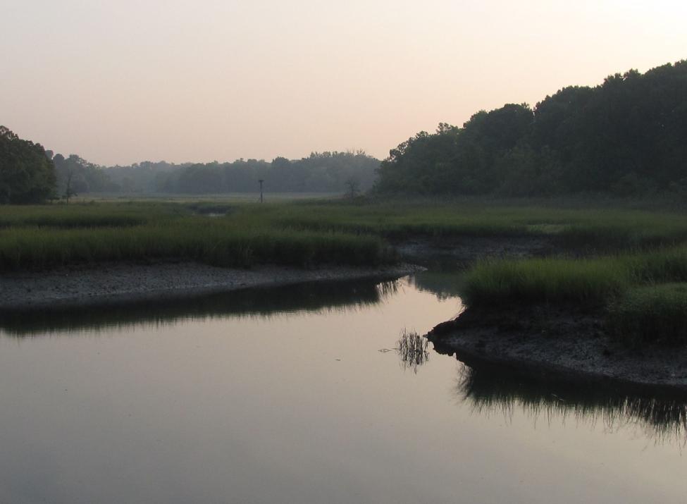 otter creek preserve