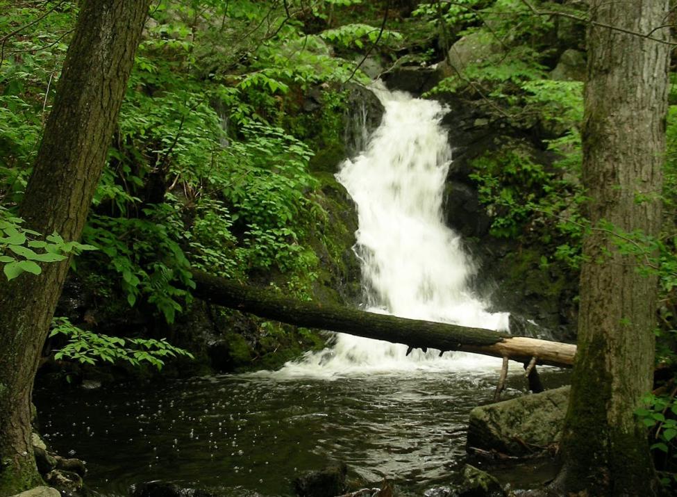 mianus river gorge
