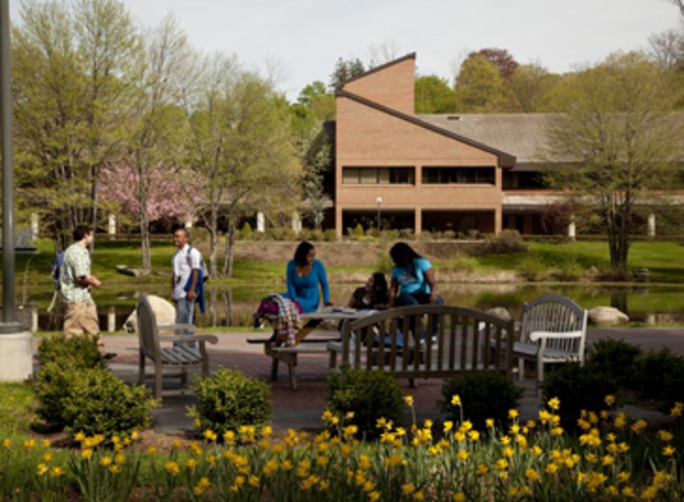 pace university