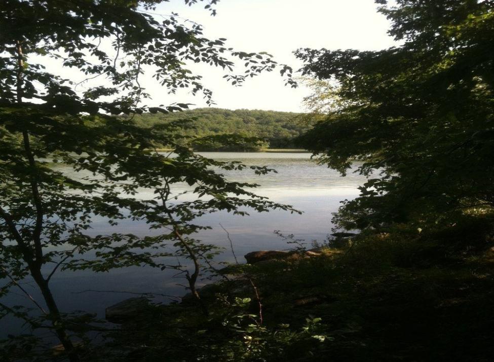 silver lake preserve