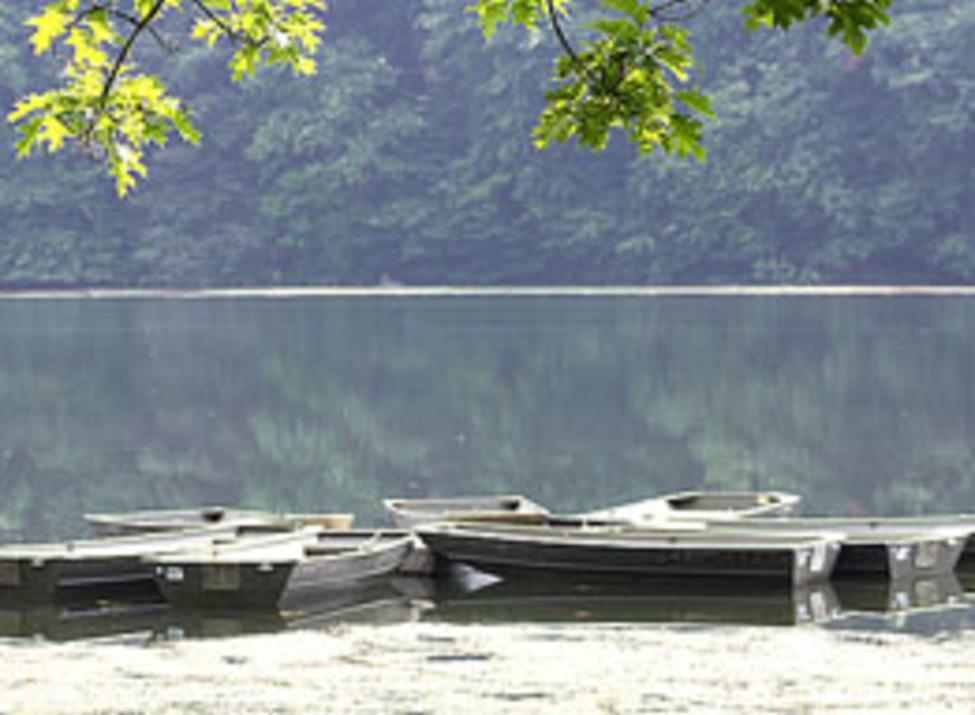wampus pond