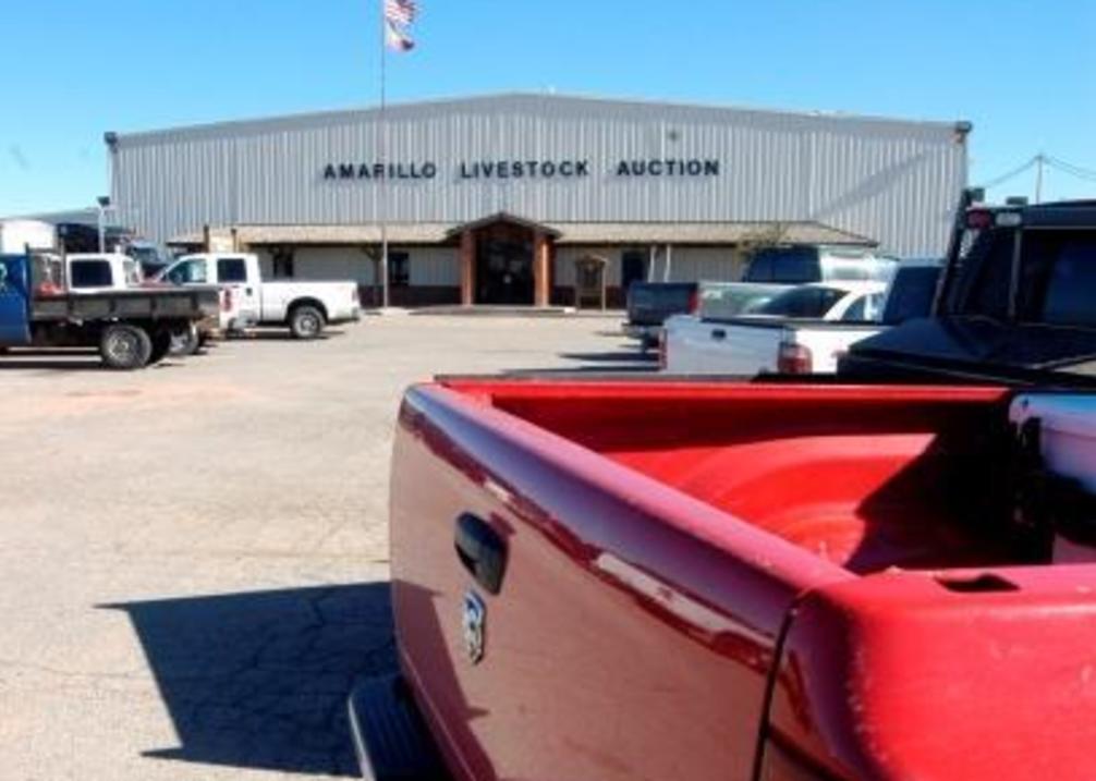 Amarillo Livestock Auction
