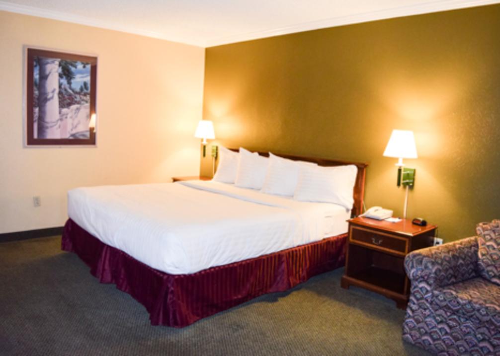 King Bed Room