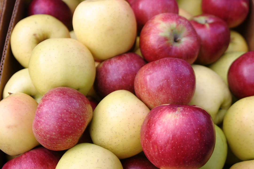 Peddler's Village Apple Festival