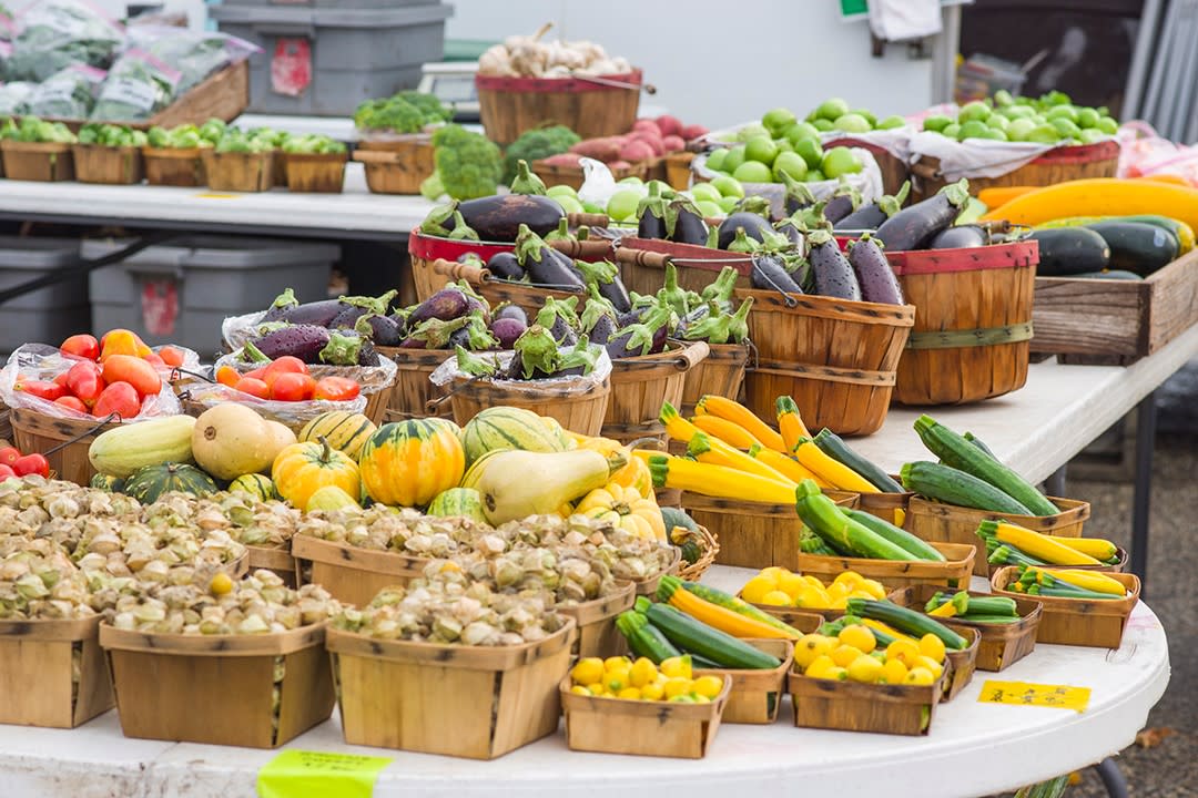 Rochester MN Downtown Farmers Market