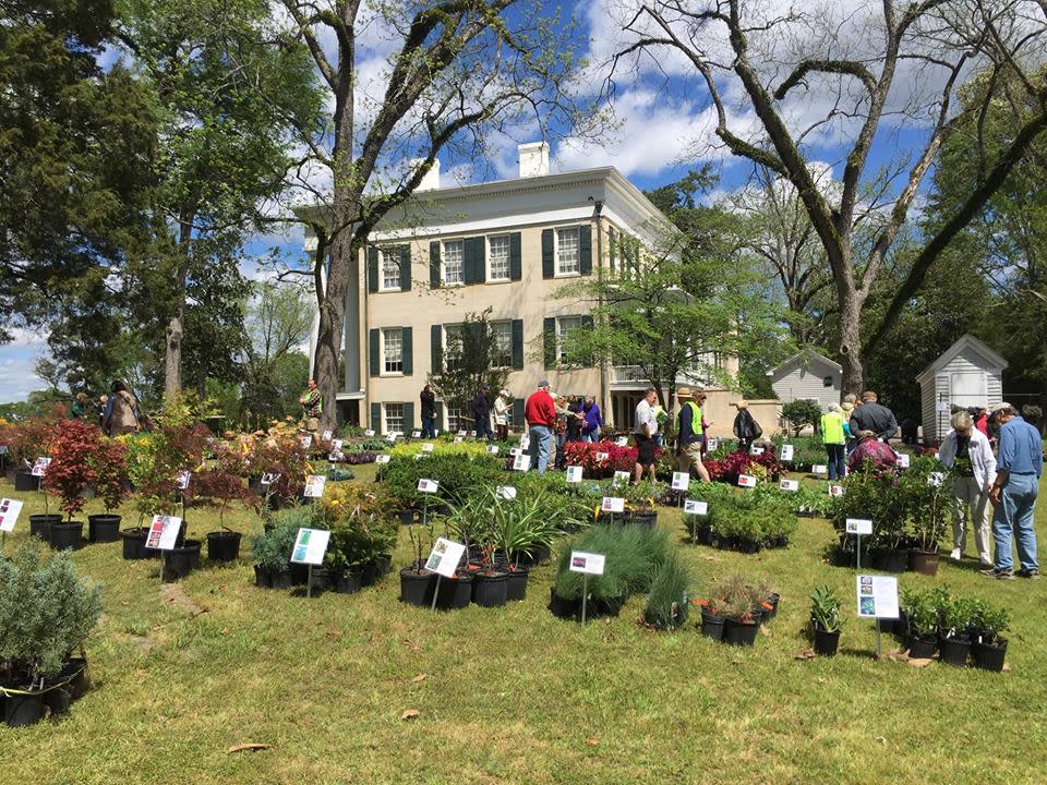 Lockerly Arboretum Plant Sale