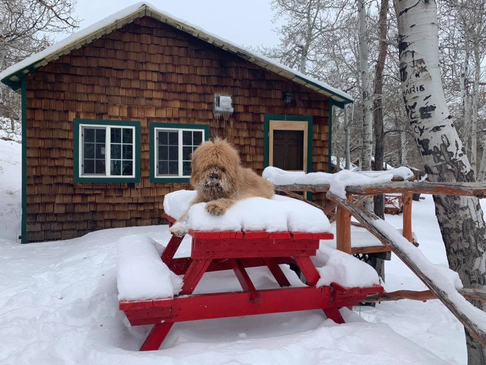 Twin Lakes Resort winter cabin