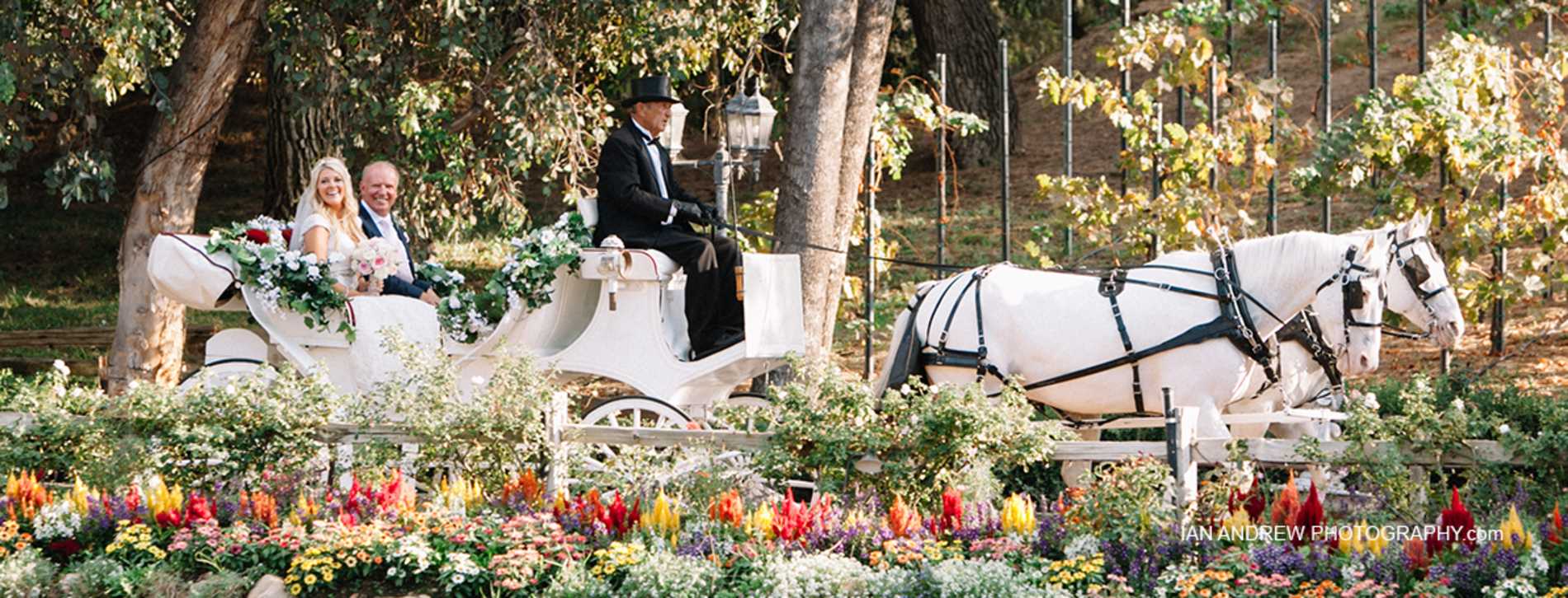 Lake Oak Meadows - Temecula