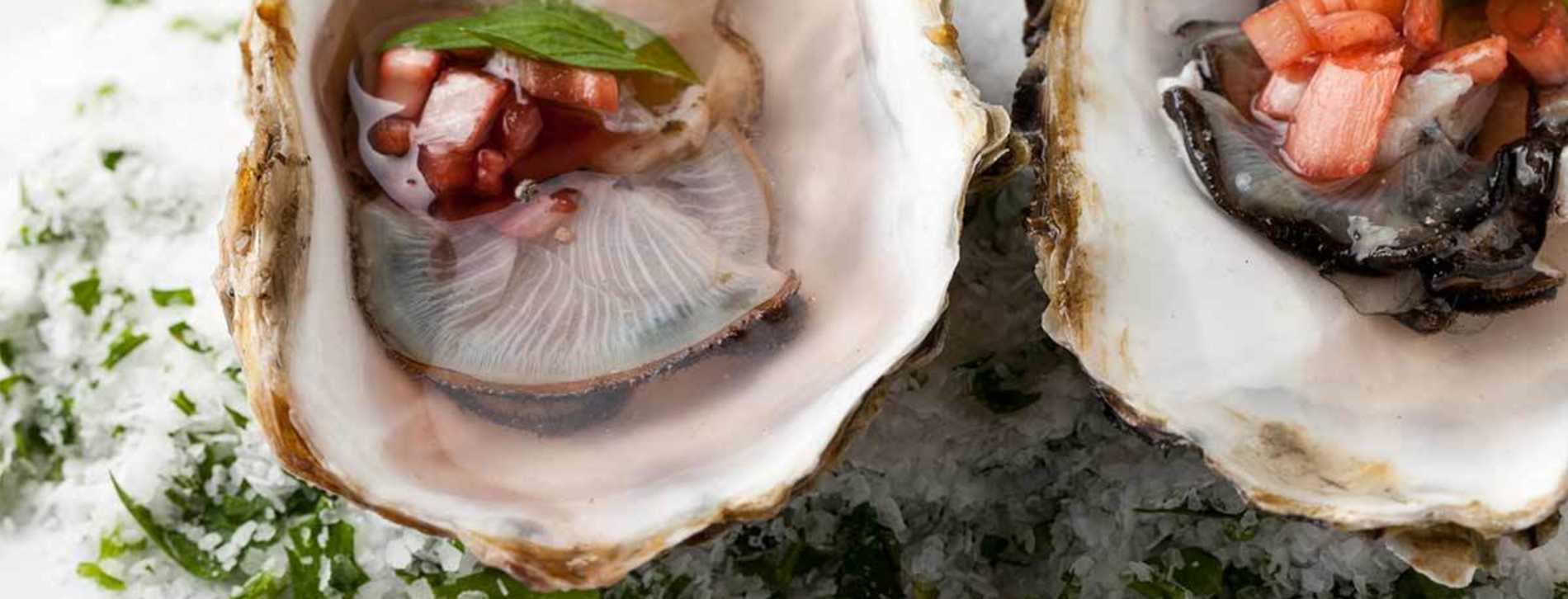 Bluewater Grill Seafood Restaurant