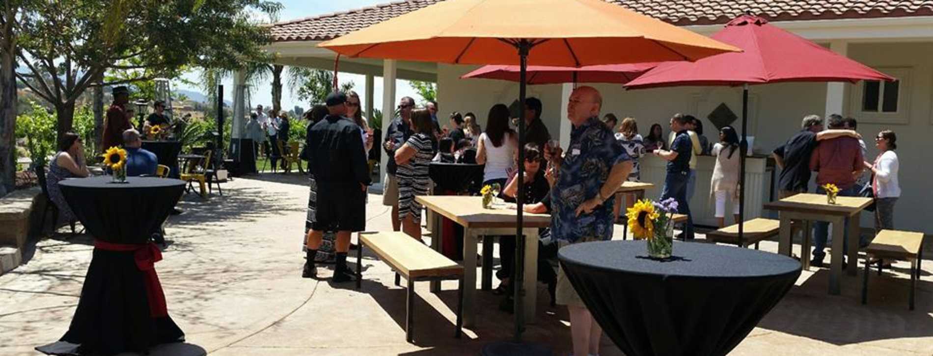 Live Music On The Patio