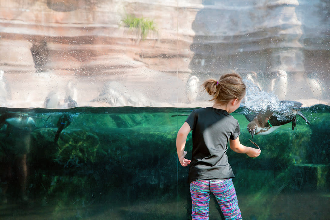 Sedgwick County Zoo