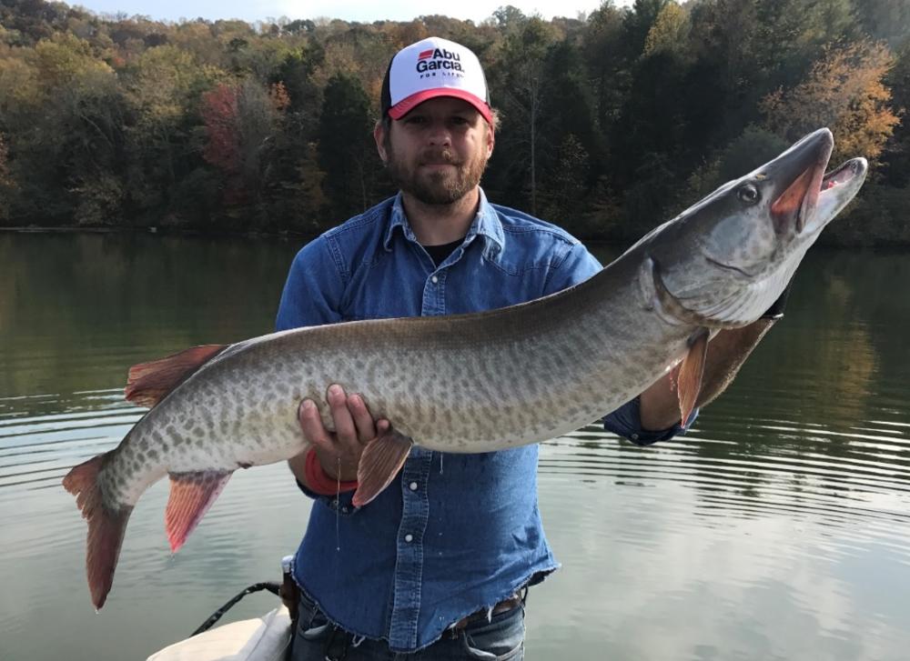 Musky With A Southern Accent