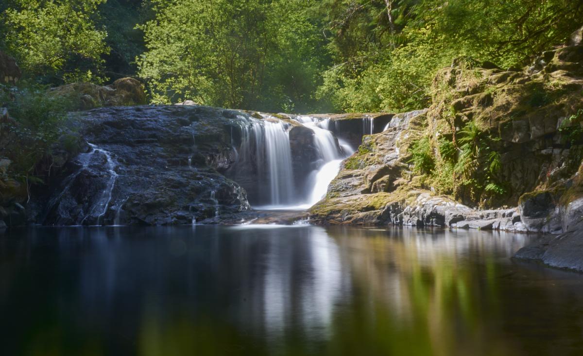 Sweet Creek Falls by Thomas Moser Sweet Creek Falls by Thomas Moser