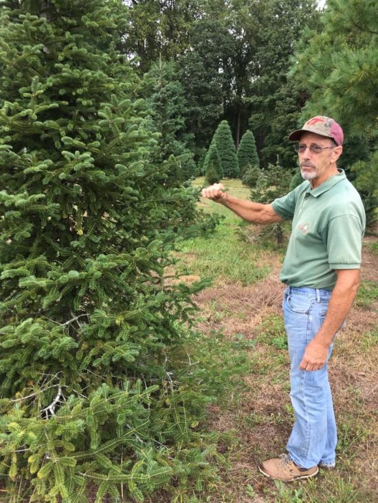 Northlake Christmas Tree Owner