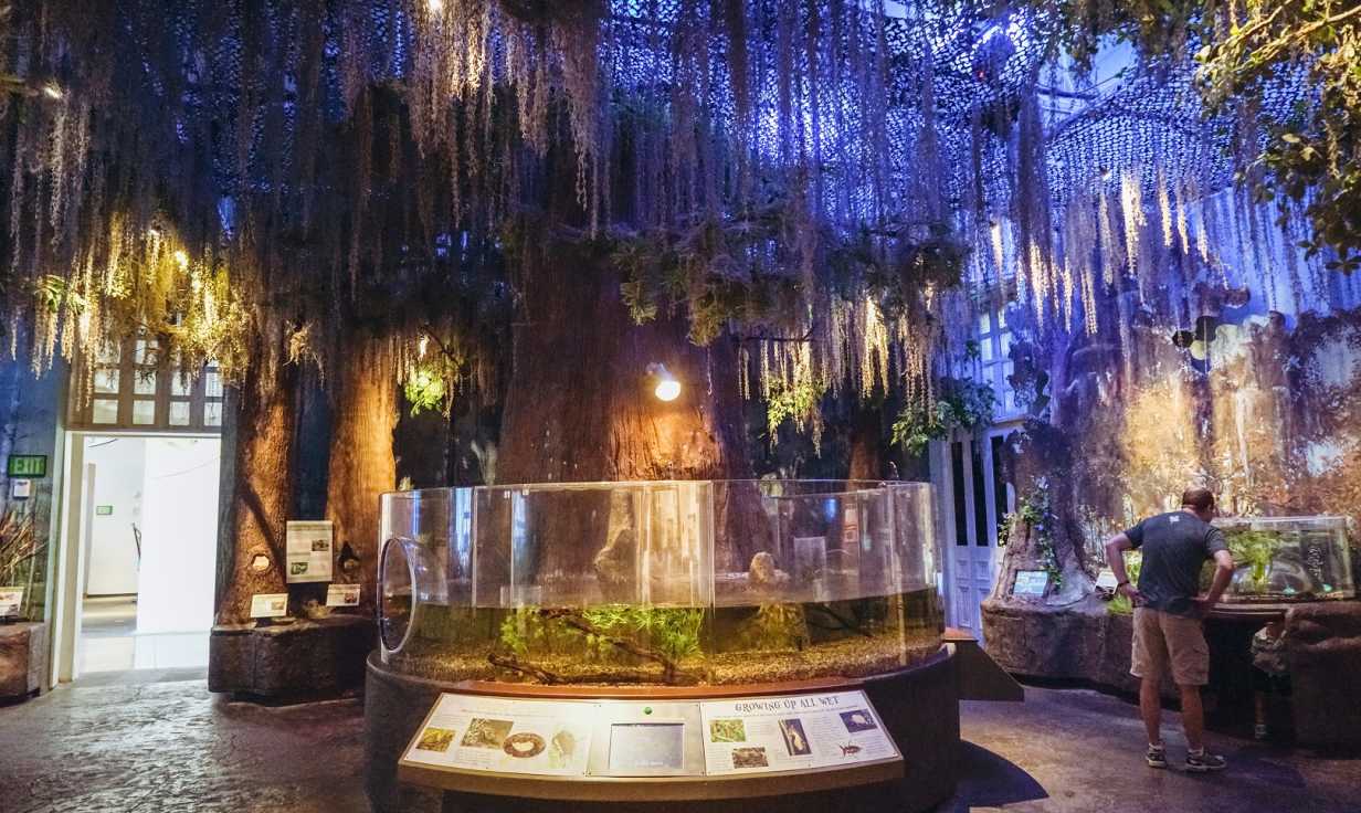 Exhibits