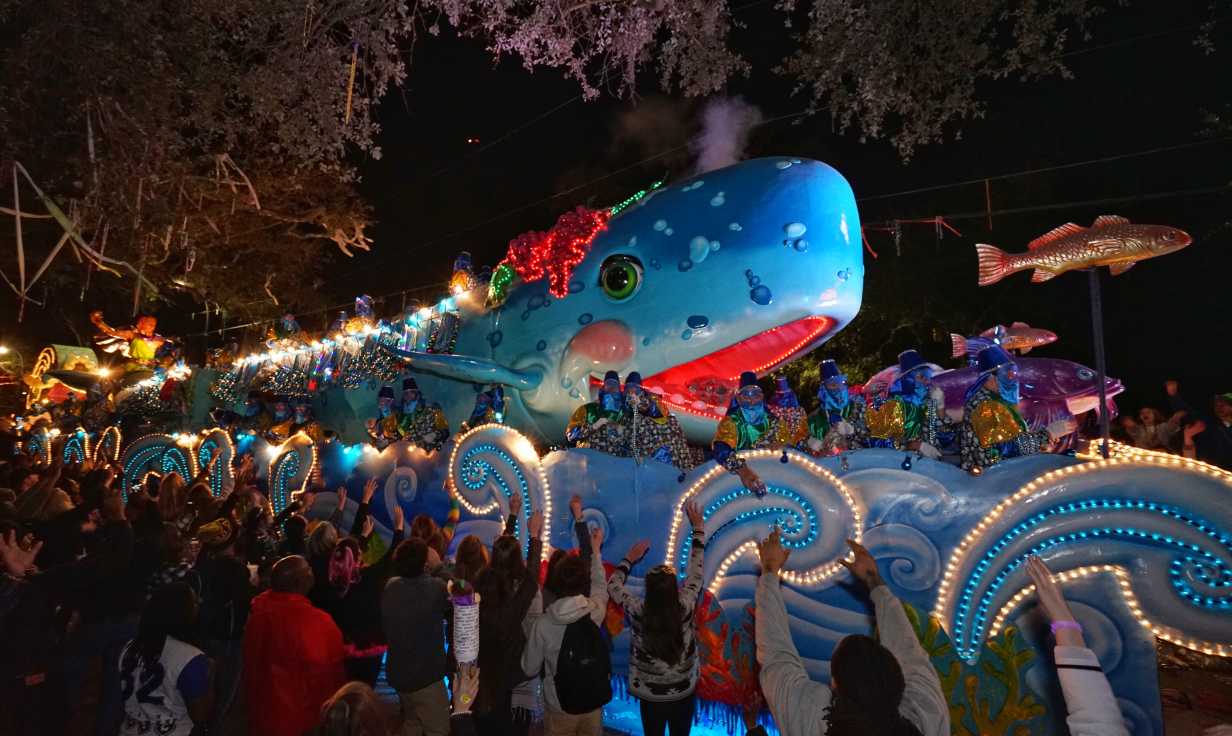 Krewe of Bacchus