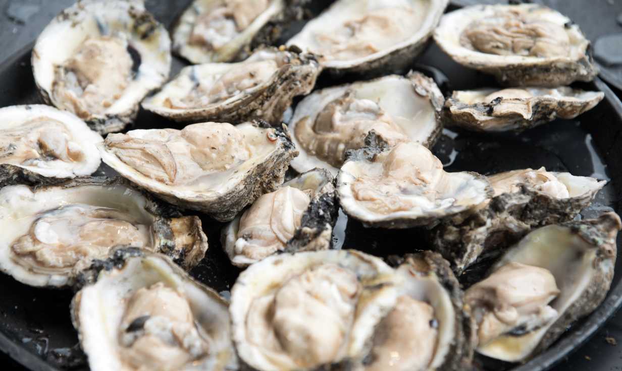 New Orleans Oyster Festival 2019