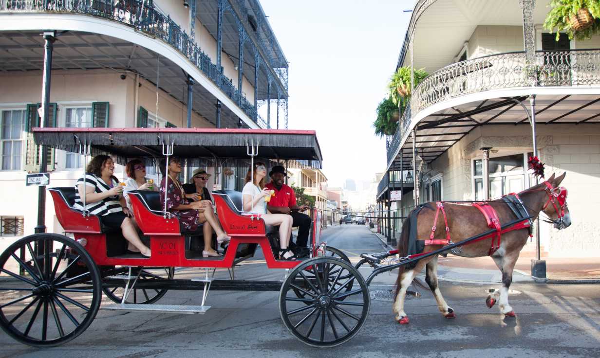 Royal Carriages Mule-Drawn History Tours of French Quarter
