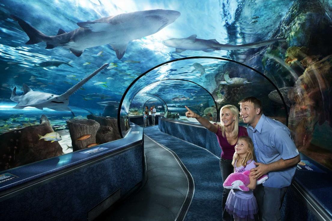 Family in Aquarium