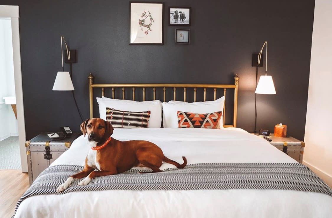 Dog friendly Armstrong Hotel