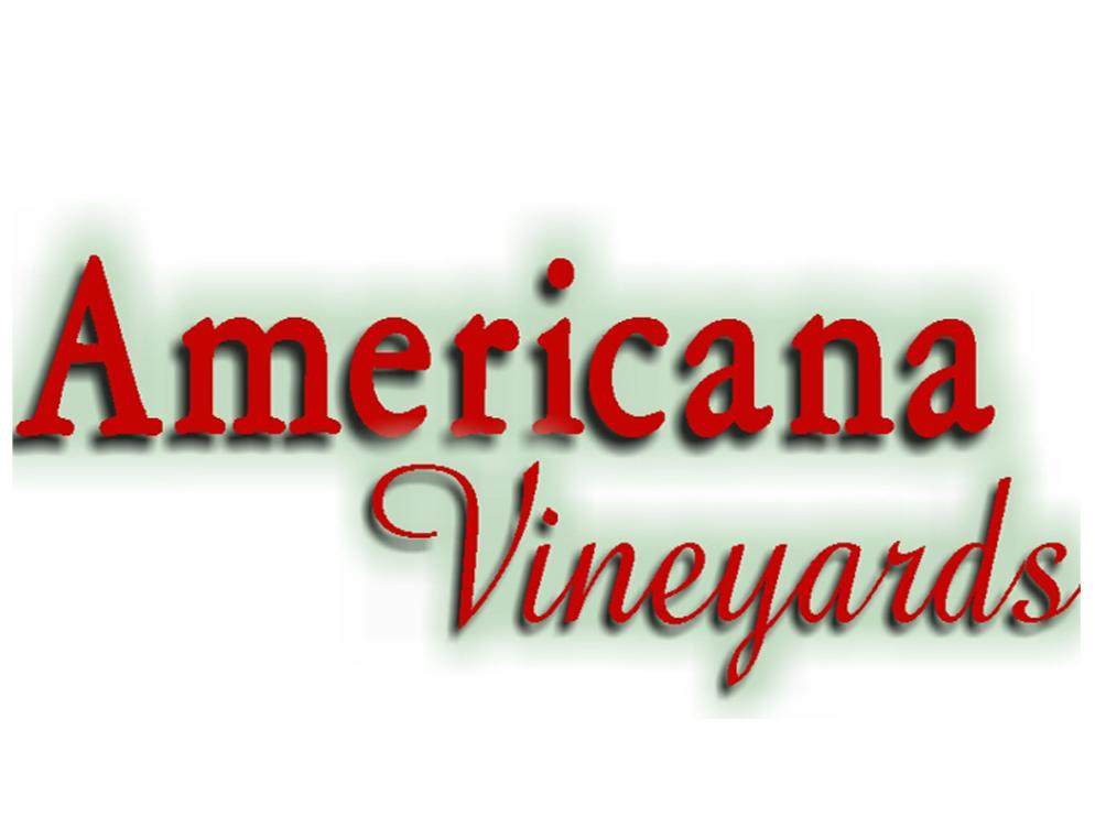 Americana Vineyard