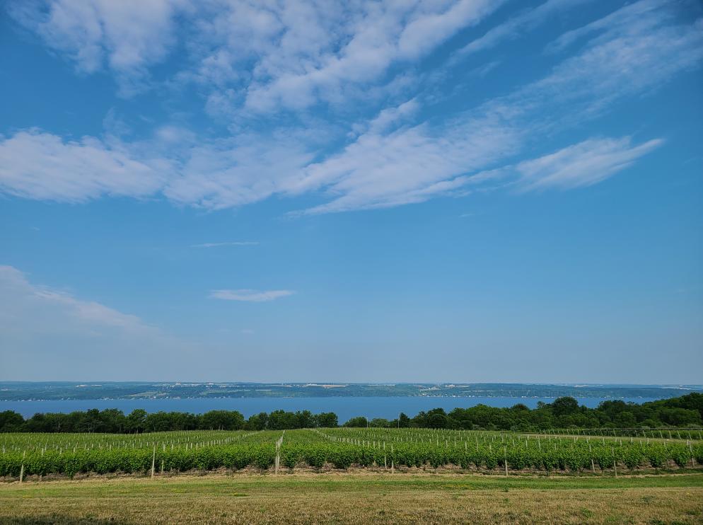 View of Seneca Lake from Boundary Breaks