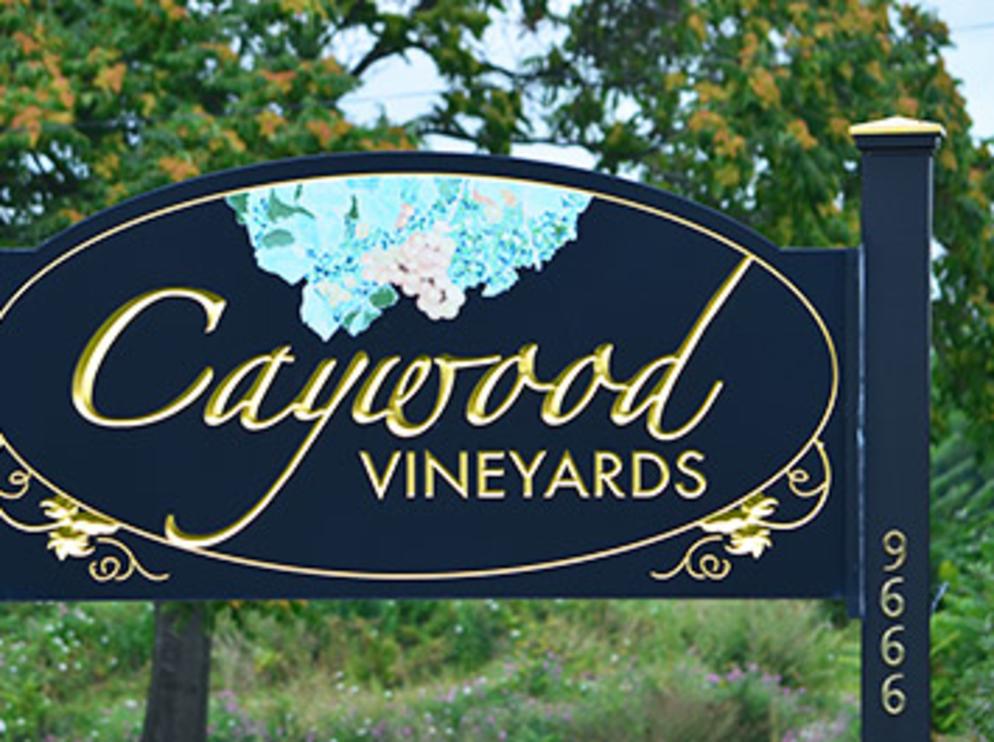 CAYWOOD VINEYARD