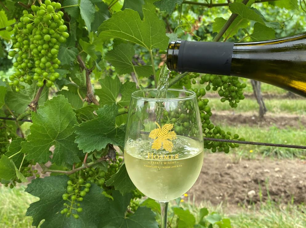 Chardonnay