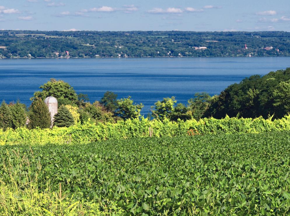 Cayuga Lake