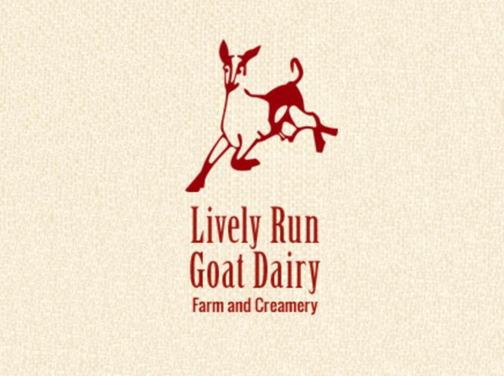 LIVELY RUN