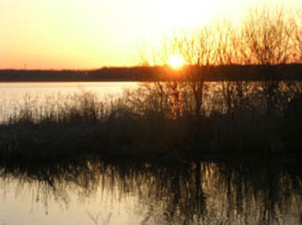 MONTEZUMA NATIONAL WILDLIFE REFUGE