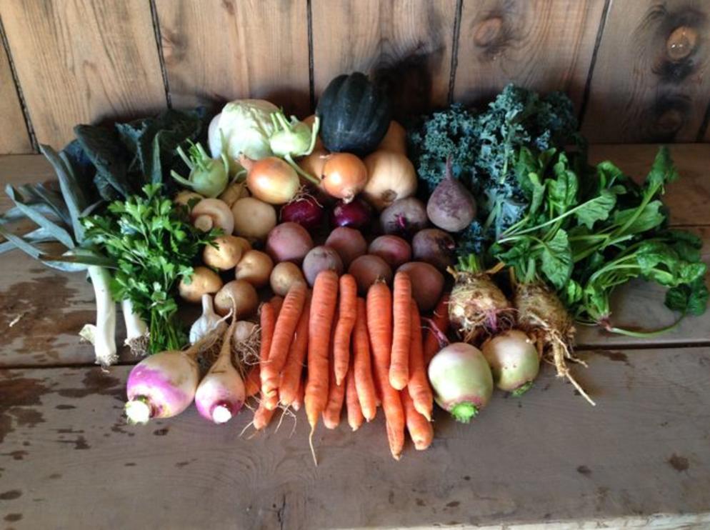 SWEET LAND FARM