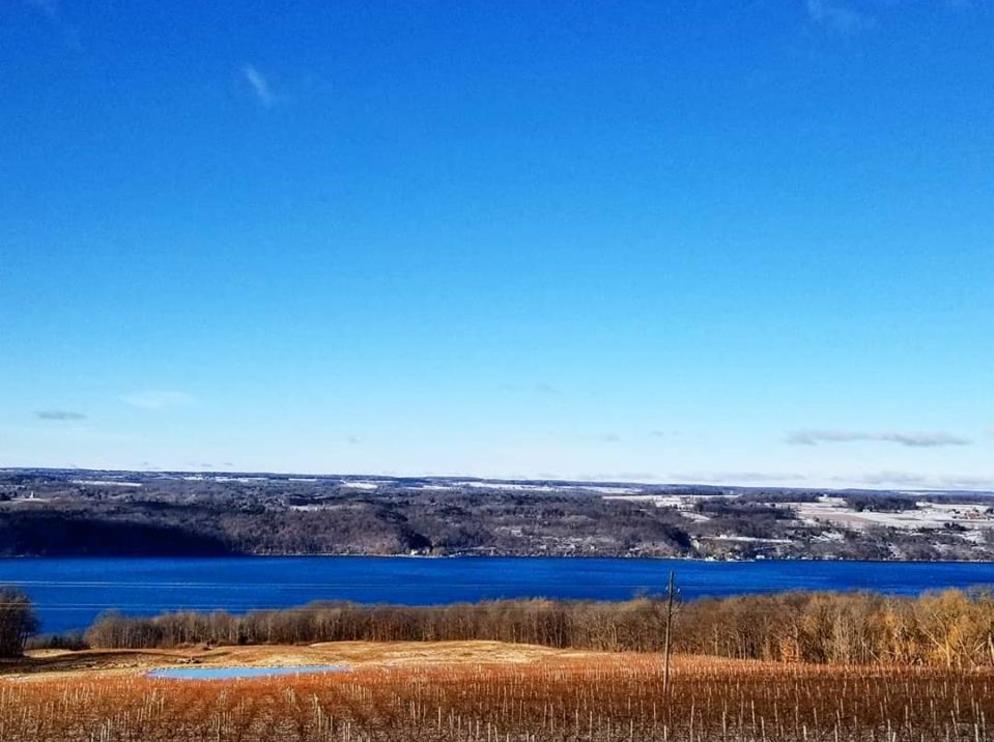Winter overlooking Seneca Lake