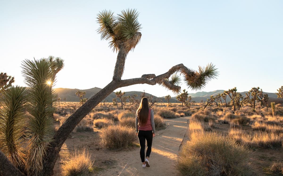Woman hiking the Cap Rock Trail in Joshua Tree National Park