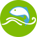 Green GOTW Fish