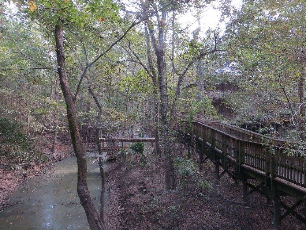 Acadiana Park Nature Station