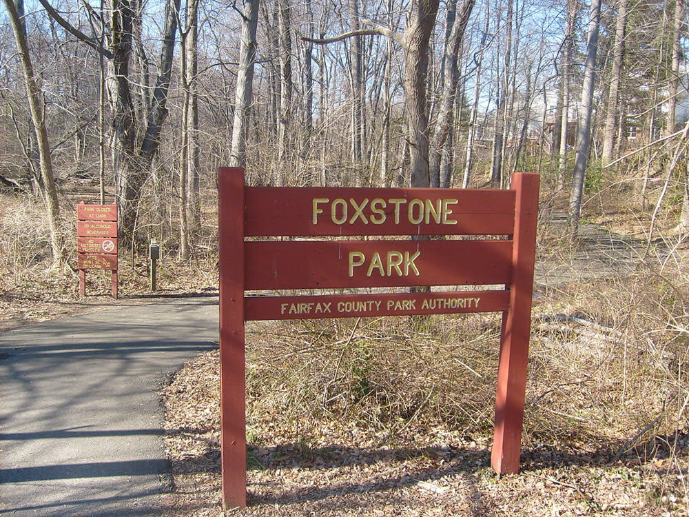 Foxstone Park Bridge